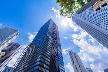 新緑の西新宿 高層ビル街の風景 © picture cells