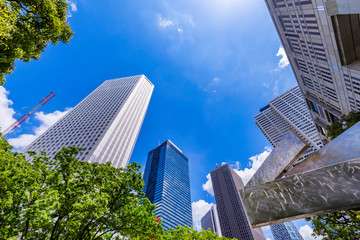 Obraz premium 新緑の西新宿 高層ビル街の風景