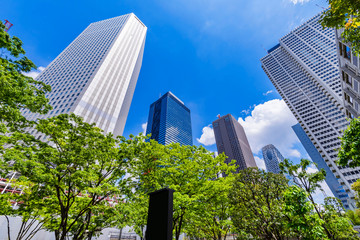 新緑の西新宿 高層ビル街の風景 © picture cells
