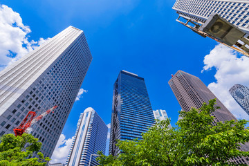 Fototapeta na wymiar 新緑の西新宿 高層ビル街の風景