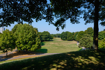 Parks with trees and meadows Bonn
