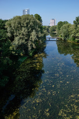 Fototapeta na wymiar Landscape Rheinaue Bonn