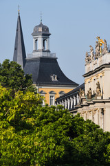 Tower of university Bonn with tree