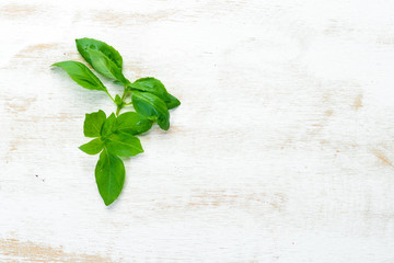Fresh green basil. Top view. Free space for your text.