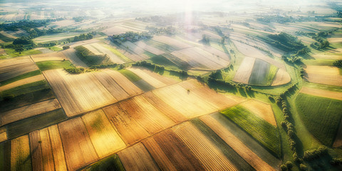 Drone aerial view - fields on the morning