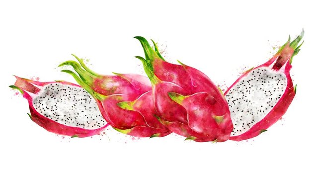 Watercolor appearance animation of the dragon fruit on the alpha channel.