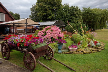 Blumenwagen in Nida Littauen