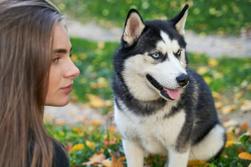 Young beautiful girl playing with her cute husky dog pet in autumn park covered with red and yellow fallen leaves