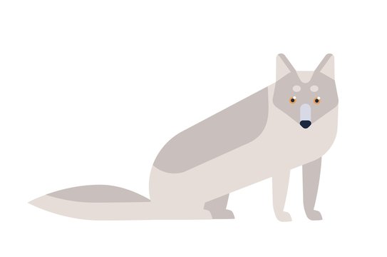 recommend clip art: Arctic fox flat vector illustration
