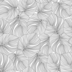 Monochrome monstera leaves seamless pattern. Tropical pattern,