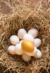 invest in gold egg , concept risk investment in trading asset	