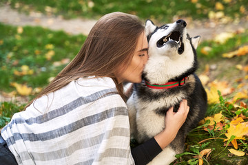 Young beautiful girl playing with her cute husky dog pet in autumn park covered with red and yellow fallen leaves