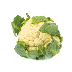 Organic Cauliflower isolated on white background.Vegetables