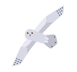 Snowy Owl flat vector illustration