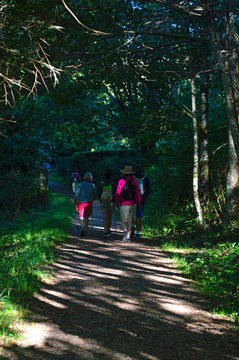 Peregrinos en el Camino de Santiago /Pilgrims in the Santiago's road. Zas. A Coru&ntilde;a
