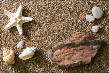 Fototapeta na wymiar Top view of a sandy beach with starfish, seashells, roudstones and a piece of driftwood - close up