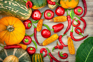 Harvest vegetables. Pumpkin, corn, red and green peppers on a wood background.