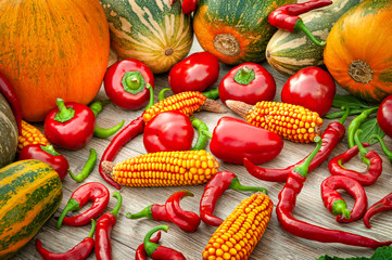 Top view harvest vegetables. Pumpkin, corn, red and green peppers on a wood background.