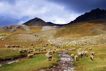 mountains of Roburent Cuneo, Piedmont, Italy 
