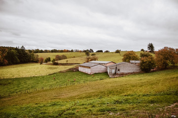 Fototapeta na wymiar Mountain landscape