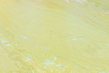 Colored plants in dirty water.