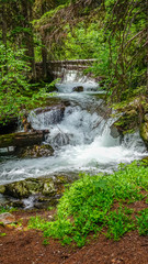 Waterfall in Okanogan-Wenatchee National Forest