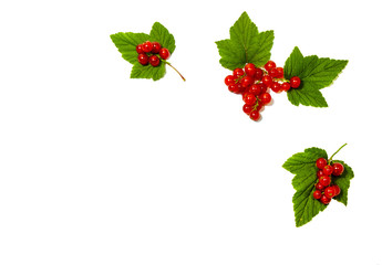 Red currant with green leaves on a white background.