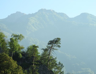 mountain landscape - a lonely tree on a high mountain peak against the background of the peaked peaks of the Caucasus mountains