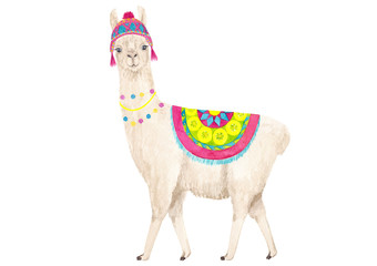 Cute  llama (alpaca) character in a hat, watercolor hand drawn illustration. Good for poster, greeting, birthday card, baby shower  and nursery design and party decor