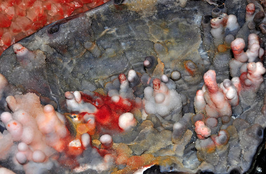 Calcite quartz and chalcedon in a colorful lush cluster