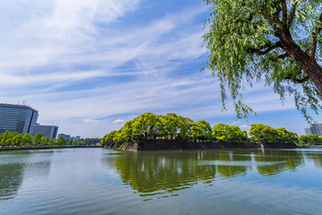 Fototapeta na wymiar 日比谷通りから見た皇居外苑の風景