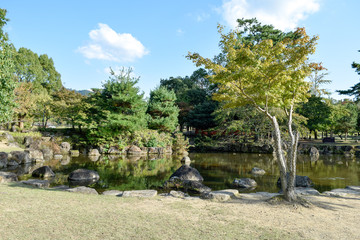 奈良公園