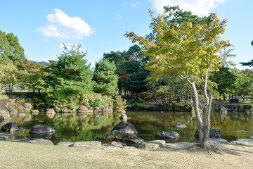 奈良公園