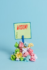 Conceptual hand writing showing Wisdom. Concept meaning the ability to use your knowledge and experience to make decisions Reminder pile colored crumpled paper clothespin wooden space