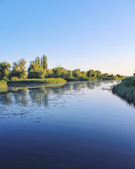 Vegetation on the banks of the river. Still water.