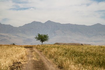 Iraq Kurdistan landscape view of Zagros and fields