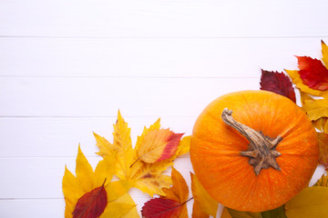 Orange pumpkin with leaves on a white background.