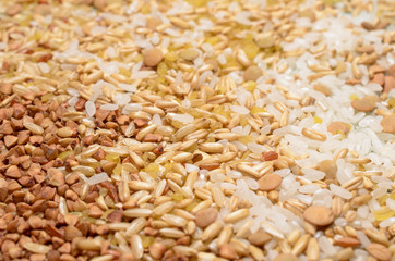 Various seeds and grains close up, food background