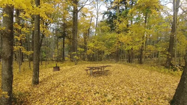 Fall pinic table 