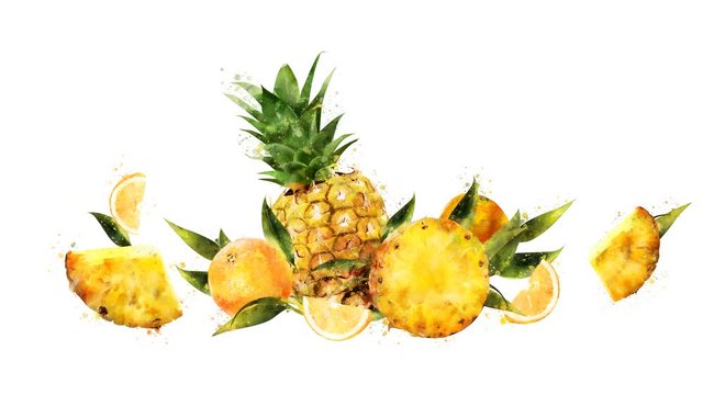 Watercolor appearance animation of the pineapple and orange on the alpha channel.
