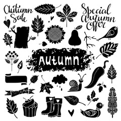 Autumn sale design elements set