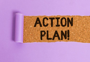 Conceptual hand writing showing Action Plan. Concept meaning proposed strategy or course of actions...
