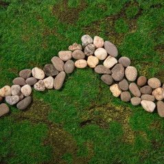 footpath in the grass