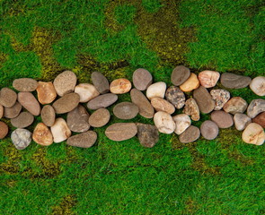 footpath in the grass