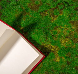 book in grass