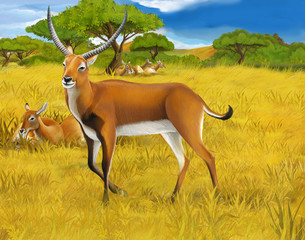 cartoon scene with koba lychee on the meadow safari illustration for children