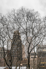 New York City, NY, USA - December, 2018 - Streets of Manhattan, Skyline view from Bryant Park.