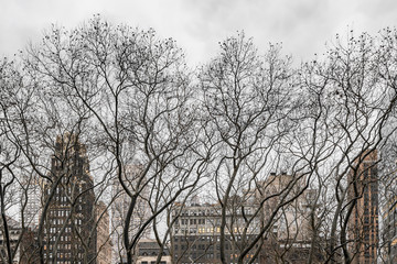 New York City, NY, USA - December, 2018 - Streets of Manhattan, Winter Skyline view from Bryant Park.