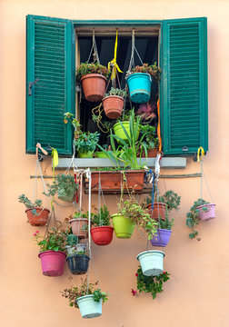 Finestra verde