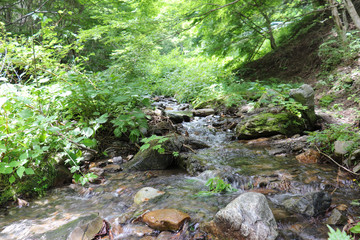 横川峡（長野県辰野町）,yokokawa valley,tatsuno town,nagano pref,japan